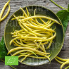 HARICOT BEURRE Creso - Graines BIO | Sativa | Graines et Bio