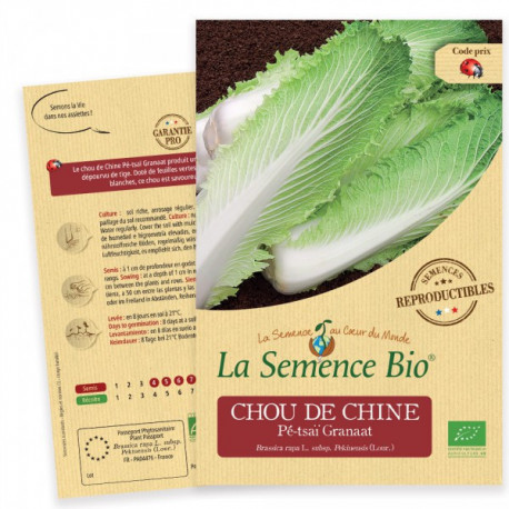 CHOU CHINOIS Pé-Tsaï - Graines BIO | La Semence Bio | Graines et Bio