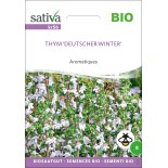 THYM d'HIVER - Graines BIO | Sativa | Graines et Bio