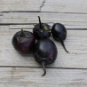 MINI AUBERGINE Bambino - Graines BIO | Ferme de Sainte Marthe | Graines et Bio