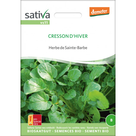 CRESSON d'HIVER - Graines BIO | Sativa | Graines et Bio
