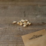 PASTÈQUE Di Bagnacavallo - Graines BIO | Ferme de Sainte Marthe | Graines et Bio