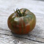 TOMATE CHOCOLATE STRIPES - Graines BIO