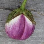 Graines bio d'aubergine Violette de Florence pour semis