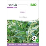 SAUGE - Graines BIO | Sativa | Graines et Bio