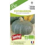 POTIMARRON Doux vert d'HOKKAÏDO - Graines BIO | SANRIVAL | Graines et Bio