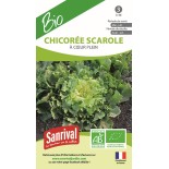 CHICORÉE SCAROLE - Graines BIO | SANRIVAL | Graines et Bio