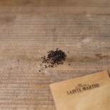 BASILIC CANNELLE - Graines BIO | Ferme de Sainte Marthe | Graines et Bio