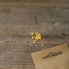 PIMENT de CAYENNE - Graines BIO | Ferme de Sainte Marthe | Graines et Bio