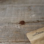TABAC BLOND de Virginie - Graines BIO | Ferme de Sainte Marthe | Graines et Bio