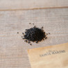 NIGELLE Cultivée ou CUMIN NOIR - Graines BIO | Ferme de Sainte Marthe | Graines et Bio