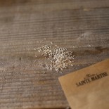 LAITUE Pommée EXPRESS - Graines BIO | Ferme de Sainte Marthe | Graines et Bio