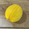 MELON DE CAVAILLON - Graines BIO | Ferme de Sainte Marthe | Graines et Bio