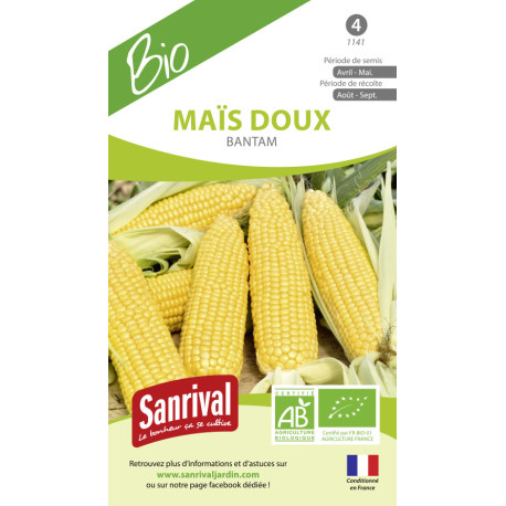 MAÏS DOUX - Graines BIO | SANRIVAL | Graines et Bio