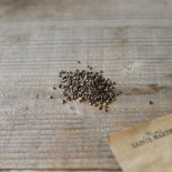 LAVATÈRE Annuelle - Graines BIO | Ferme de Sainte Marthe | Graines et Bio