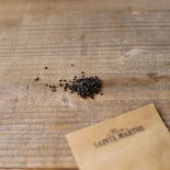 OIGNON CÉBETTE Tonda Musona - Graines BIO | Ferme de Sainte Marthe | Graines et Bio