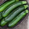 COURGETTE Dark Star - Graines BIO | KOKOPELLI | Graines et Bio