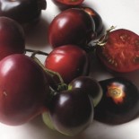 TOMATE CERISE "Clackamas Blueberry" - Kokopelli - Graines BIO