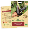 AUBERGINE de BARBENTANE - Graines BIO | La Semence Bio | Graines et Bio