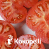 TOMATE BEEFSTEAK Watermelon - Graines BIO | KOKOPELLI | Graines et Bio