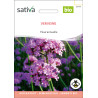 VERVEINE de Buenos Aires - Graines BIO | Sativa | Graines et Bio
