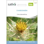 CHARDON BÉNI - Graines BIO | Sativa | Graines et Bio