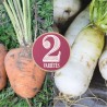 CAROTTE et NAVET en Mélange - Graines BIO | Ferme de Sainte Marthe | Graines et Bio