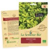 MENTHE VERTE - Graines BIO | La Semence Bio | Graines et Bio
