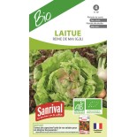 LAITUE POMMÉE "Reine de Mai" - Graines BIO | SANRIVAL | Graines et Bio