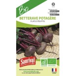 BETTERAVE PLATE D'Egypte - Graines BIO | SANRIVAL | Graines et Bio
