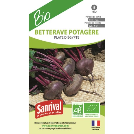 BETTERAVE PLATE D'Egypte - Graines BIO | SANRIVAL | Graines et Bio