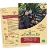 AUBERGINE BLANCHE RONDE À OEUF - Graines BIO | La Semence Bio | Graines et Bio