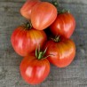 TOMATE COEUR DE BOEUF - Graines BIO | Ferme de Sainte Marthe | Graines et Bio