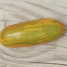 TOMATE VERTE "Green Sausage" - Graines BIO | Ferme de Sainte Marthe | Graines et Bio