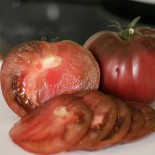 TOMATE NOIRE RUSSE - Graines BIO