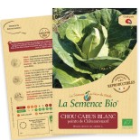 CHOU CABUS BLANC Pointu de Chateaurenard - Graines BIO | La Semence Bio | Graines et Bio