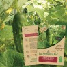 CORNICHON VERT FIN DE MEAUX - Graines BIO | La Semence Bio | Graines et Bio