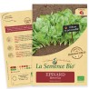 ÉPINARD PRÉCOCE Butterflay - Graines BIO | La Semence Bio | Graines et Bio