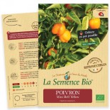 MINI POIVRON JAUNE Mini Bell - Graines BIO | La Semence Bio | Graines et Bio