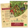 PIMENT TRÈS FORT Sucette de Provence - Graines BIO | La Semence Bio | Graines et Bio