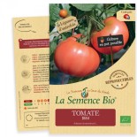 TOMATE ANCIENNE 1884 - Graines BIO