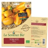 TOMATE COCKTAIL ORANGE Blush - Graines BIO | La Semence Bio | Graines et Bio
