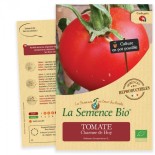 TOMATE CHARNUE de HUY - Graines BIO