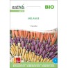 CAROTTES ANCIENNES en Mélange - Graines BIO | Sativa | Graines et Bio