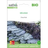 CHOUX KALE ou CHOUX FRISÉS en Mélange - Graines BIO | Sativa | Graines et Bio