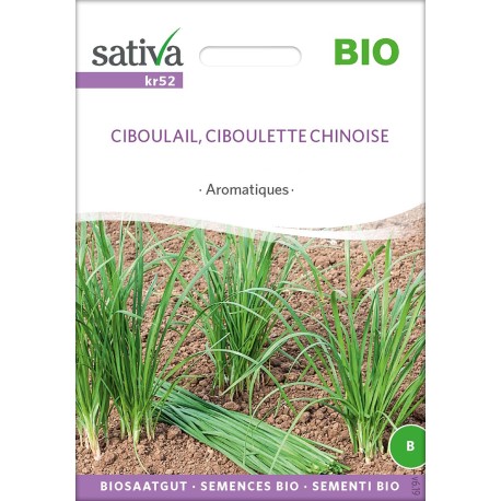 CIBOULAIL - Graines BIO | Sativa | Graines et Bio