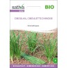 CIBOULAIL - Graines BIO | Sativa | Graines et Bio