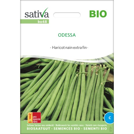 HARICOT NAIN EXTRA FIN Odessa - Graines BIO | Sativa | Graines et Bio