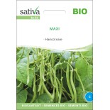 HARICOT NAIN MANGETOUT SANS FIL Maxi - Graines BIO | Sativa | Graines et Bio