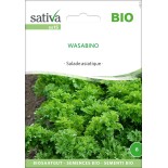 WASABINO - Graines BIO | Sativa | Graines et Bio